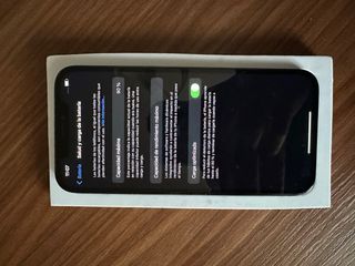 iPhone 12 Pro Max 256GB Grafito