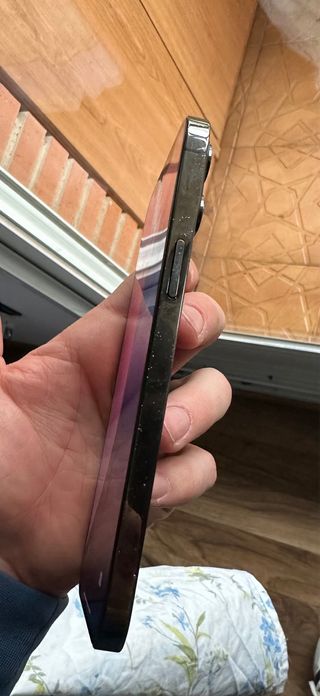 iPhone 12 Pro Max 256GB Grafito
