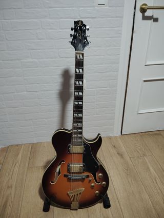 Guitarra eléctrica Greg Bennett