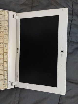 Mini ordenador LG X110