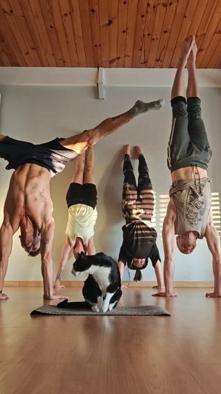 Clases de Handstand Movilidad Equilibrio