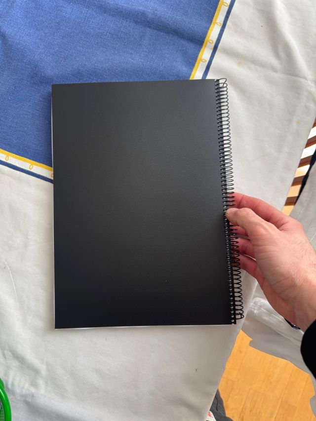 Manual taller megane 2 RS sport R26