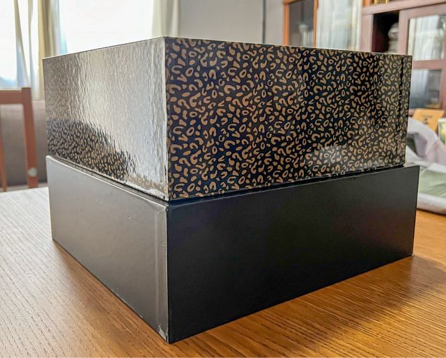 Secador de Pelo Profesional Coriolis