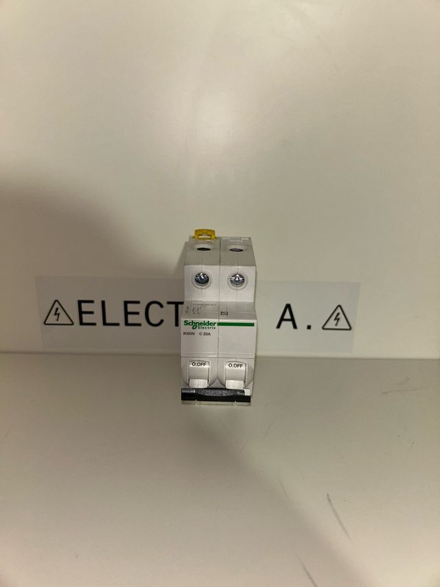 Termico Schneider 20A