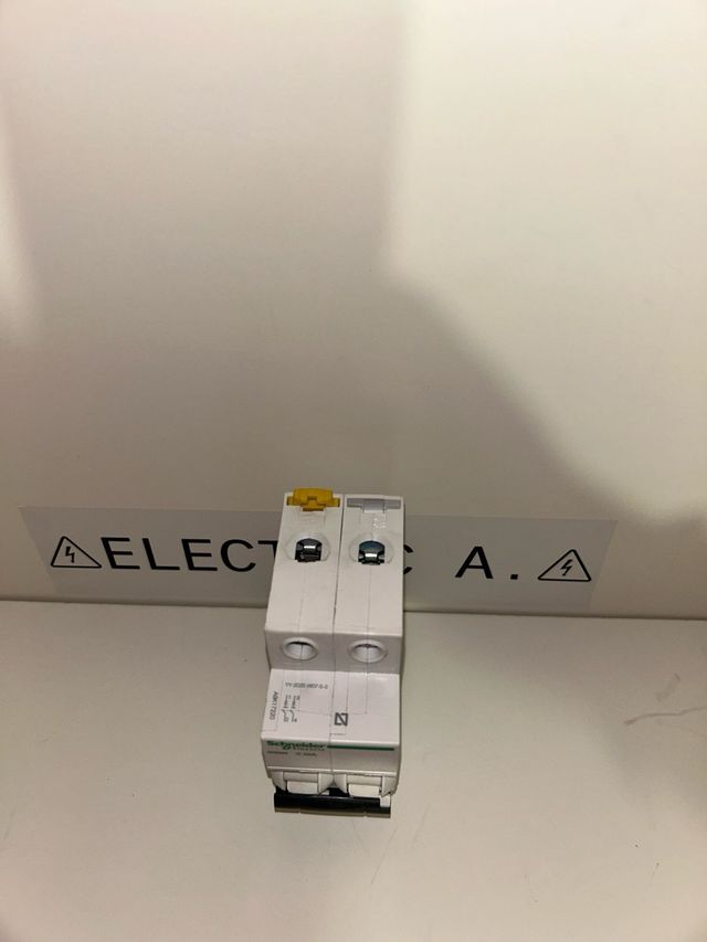 Termico Schneider 20A