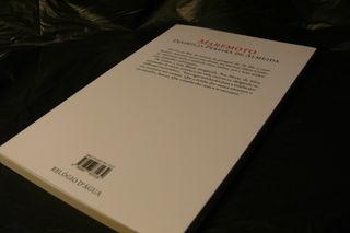 Maremoto (Portuguese Edition)