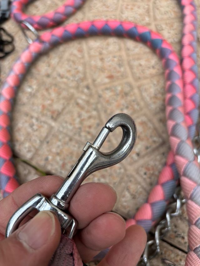 Pettorine e guinzagli per cani