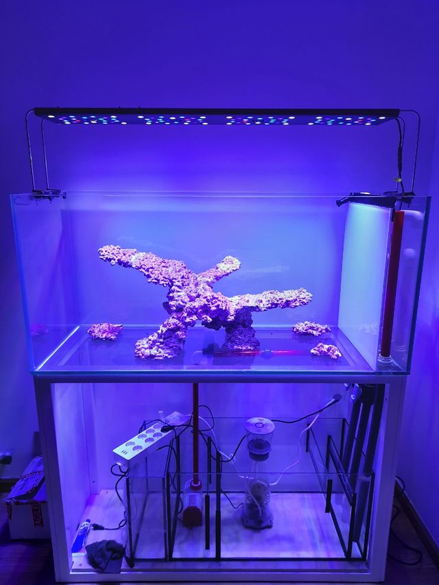 Roca acuascaping acuario marino