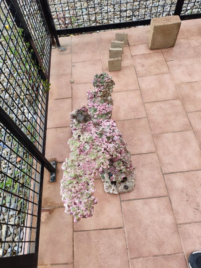 Roca acuascaping acuario marino