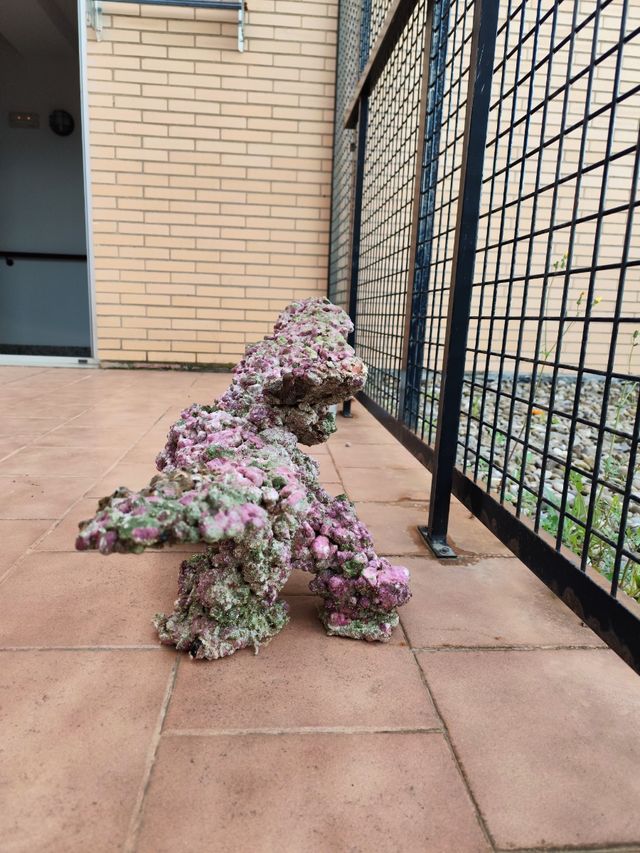 Roca acuascaping acuario marino