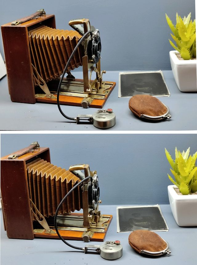 Laack Julius, Gazelle Tropical 1900 y accesorios 