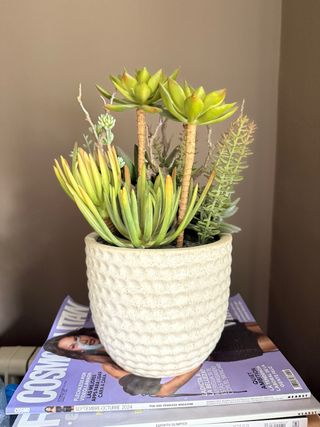 Planta artificial El Corte Ingles
