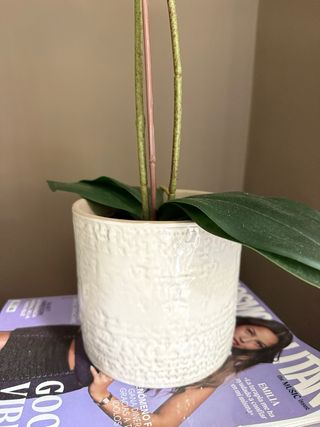 Orquidea Artificial IKEA con macetero