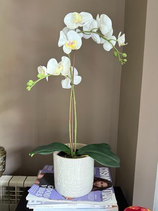 Orquidea Artificial IKEA con macetero