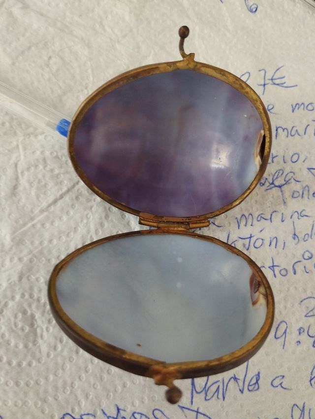 Monedero antiguo concha marina