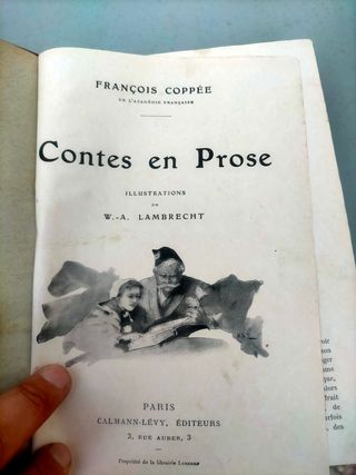 Novelas en francés