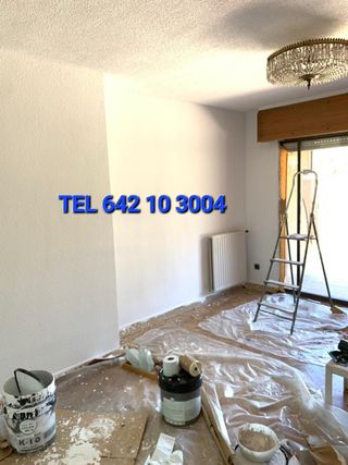 Pintor profesional disponible 