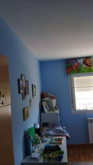 Pladur y Pintura 