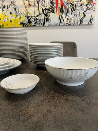 Vajilla completa porcelana Vista Alegre