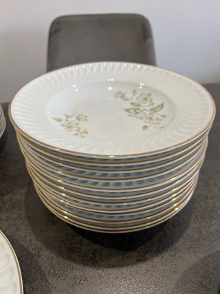 Vajilla completa porcelana Vista Alegre