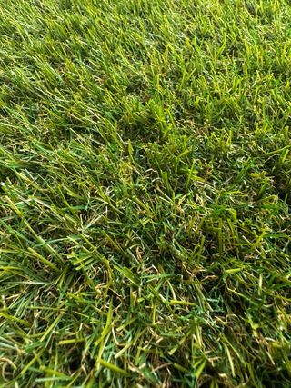 Cesped artificial 2.5cm