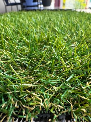 Cesped artificial 2.5cm