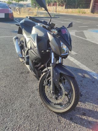 Kawasaki Z300
