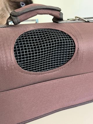 Transportin pequeño