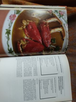 COCINA RAPIDA, Tradicional, Microondas,Olla A Pres