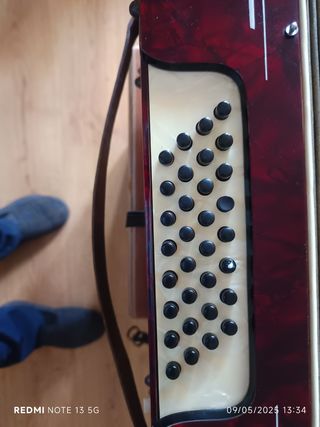 Acordeón 32 Bajos Venus