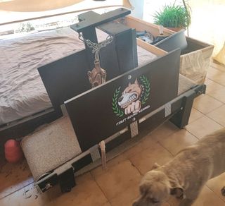 Cinta de correr para perros