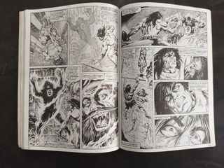 La espada salvaje de Conan Tomo 23