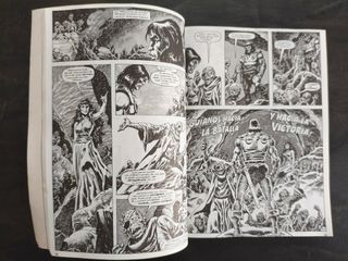 La espada salvaje de Conan Tomo 23