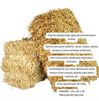 Alpaca o bala Paja Cebada/Trigo - 20-22kg