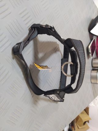 Arnes julius-k9 cinta mini-mini