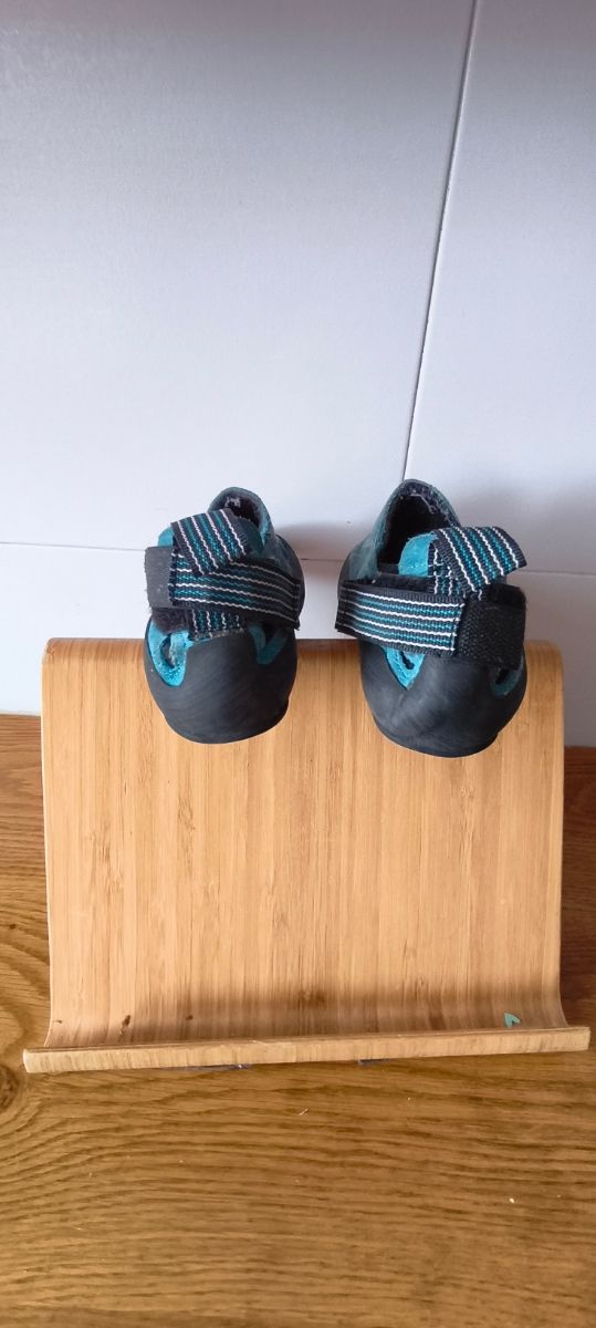 Gatos ninja junior Boreal