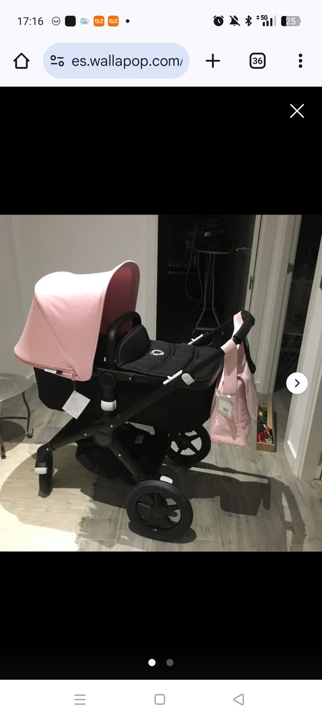 Bugaboo fox
