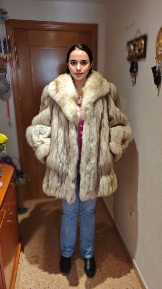 Abrigo de zorro azul. 