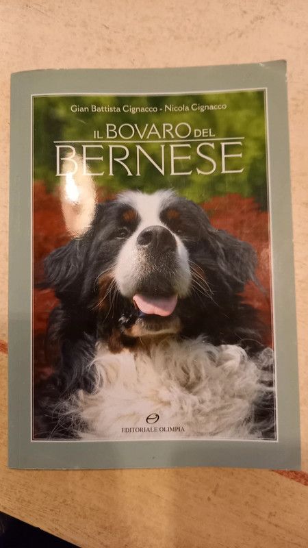 Libro Il bovaro del bernese
