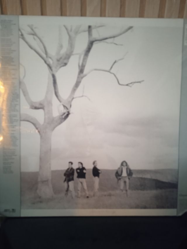 Vinilo THe venetians "Amazing world"