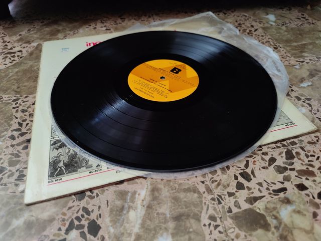 Vinilo Noche de Travestis