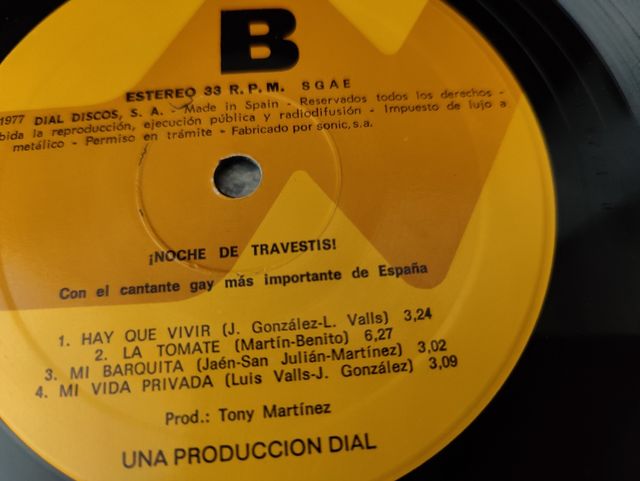 Vinilo Noche de Travestis