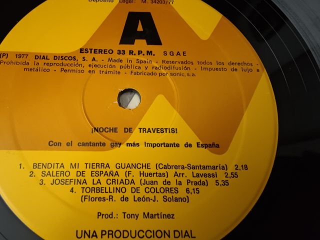 Vinilo Noche de Travestis