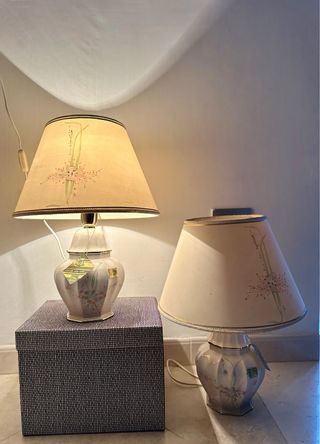 Set 2 lampade vintage Carpie' Sele Arte 