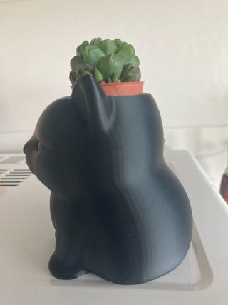 Vaso devorativo Gatto Nero stampa 3D(pianta esclus