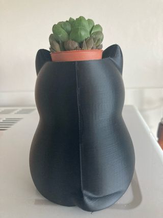 Vaso devorativo Gatto Nero stampa 3D(pianta esclus