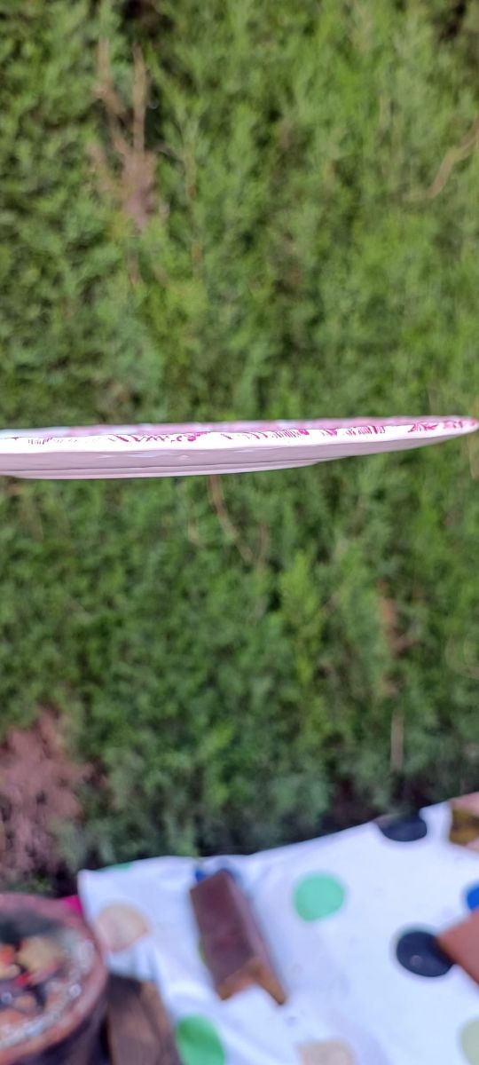 Vajilla inglesa vintage Myott 1982