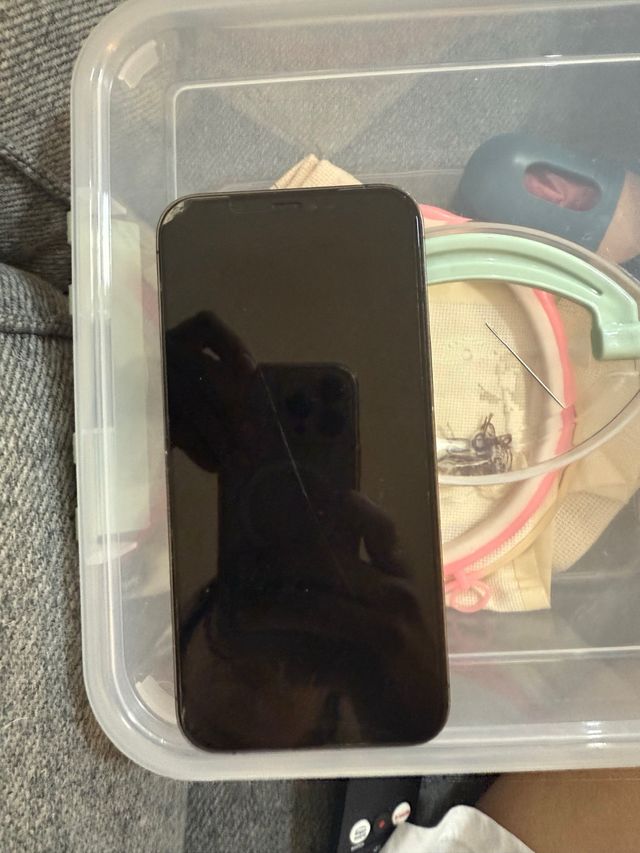 iPhone 12 Pro Max - Negro