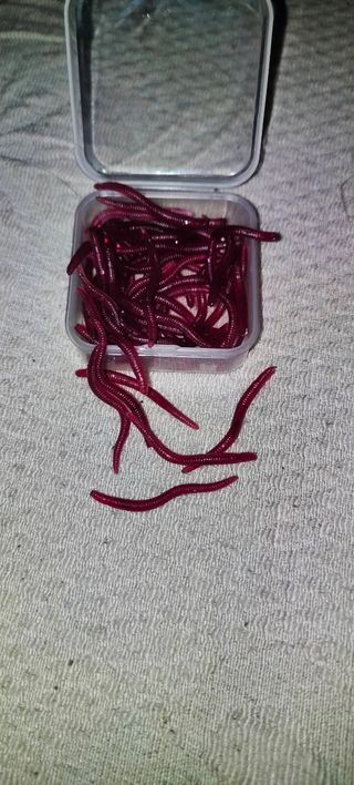 Esche artificiali pesca