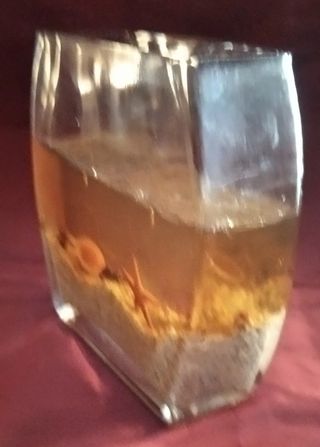 Candela a forma di acquario Vintage buone condizio